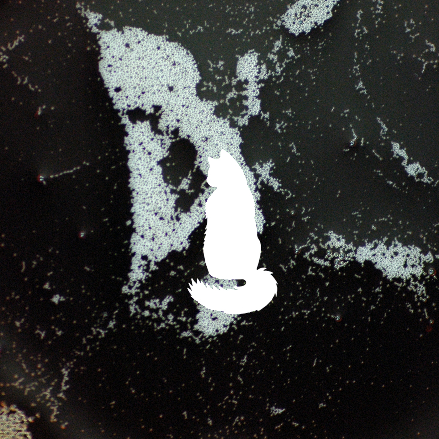 Dc. Blocks (Original Mix)