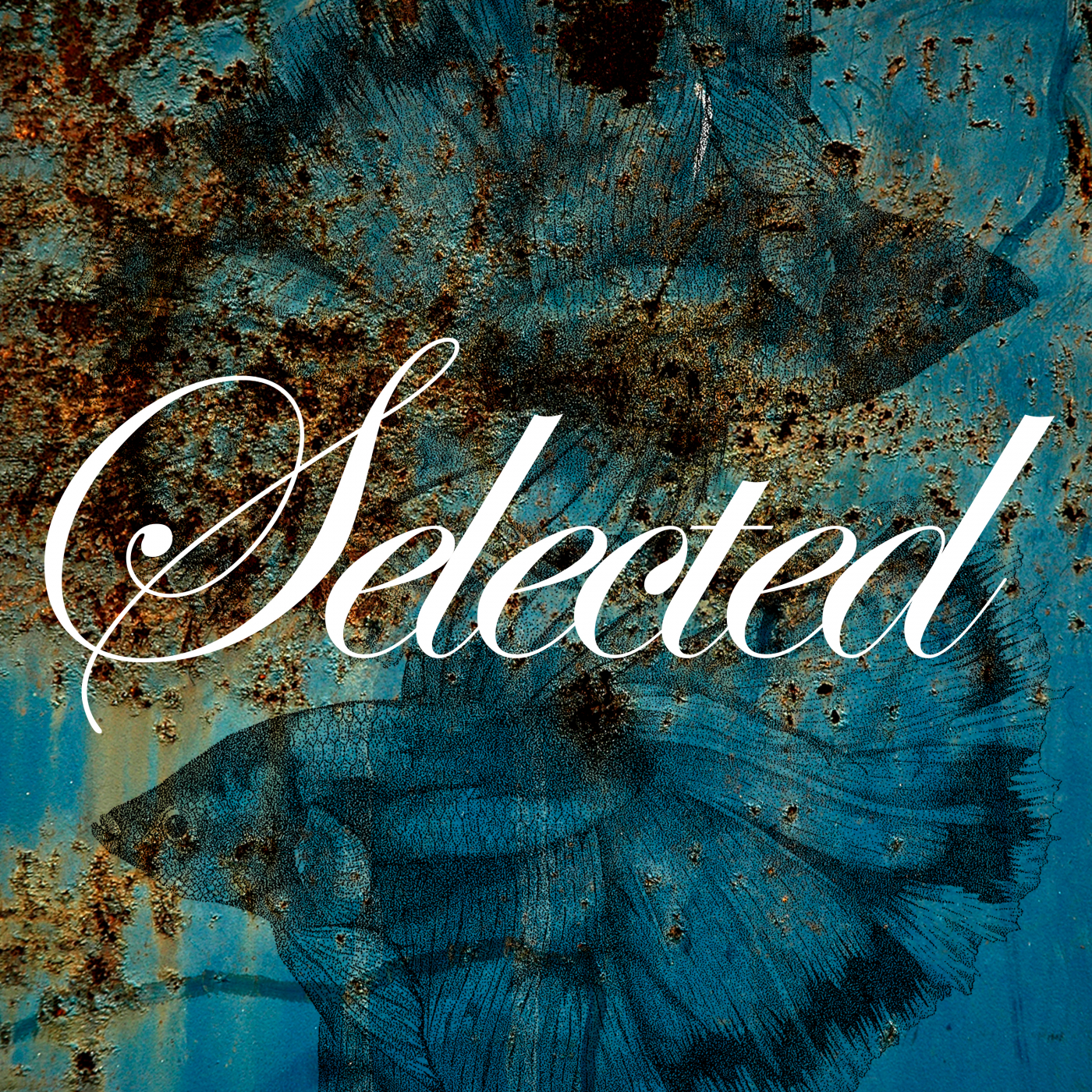 Rendezvous a Etretat