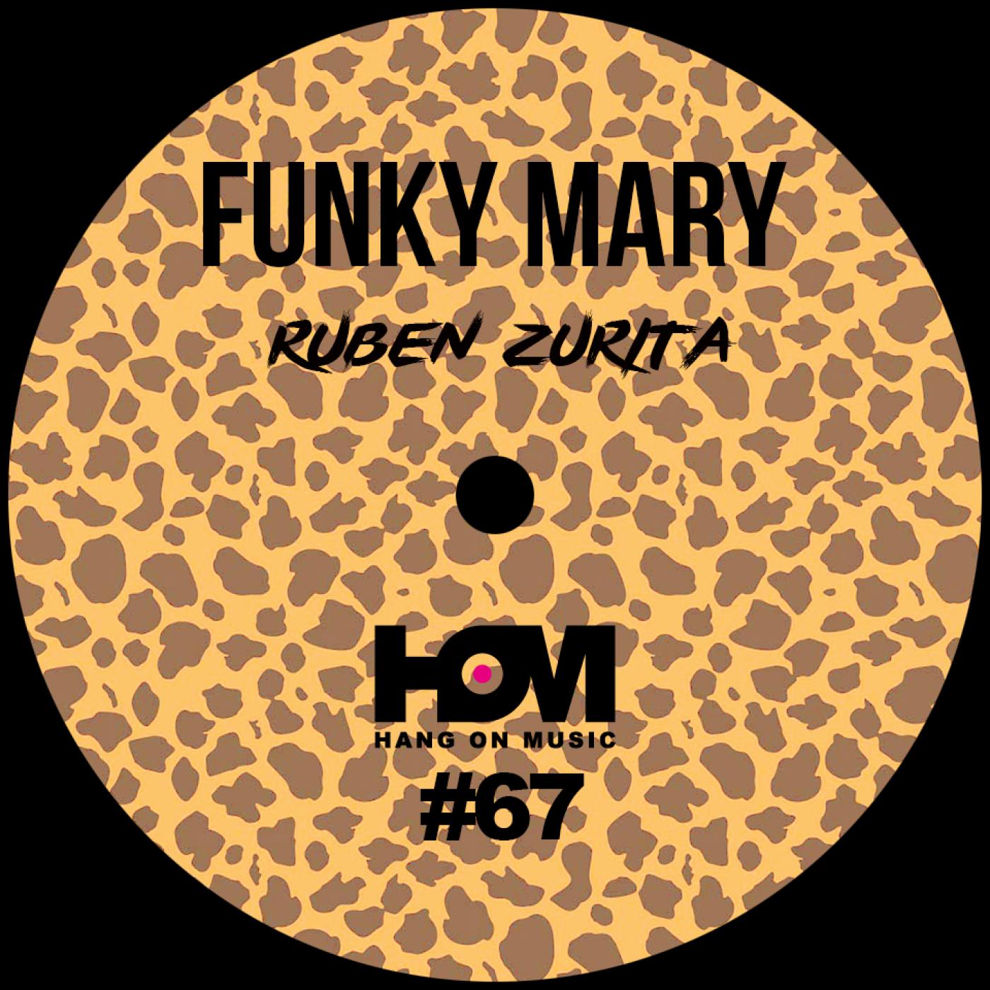 Funky Mary (Original Mix)