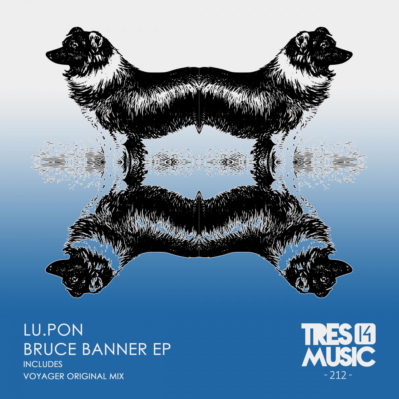 Bruce Banner (Original Mix)