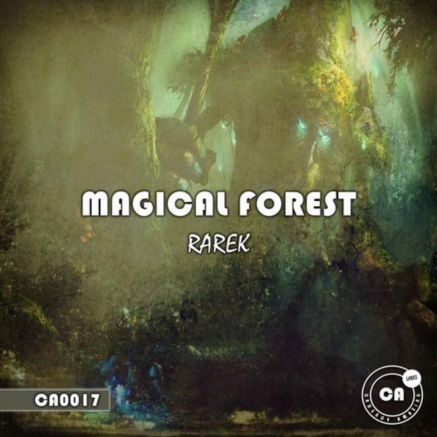 The Magical Forest (Original Mix)