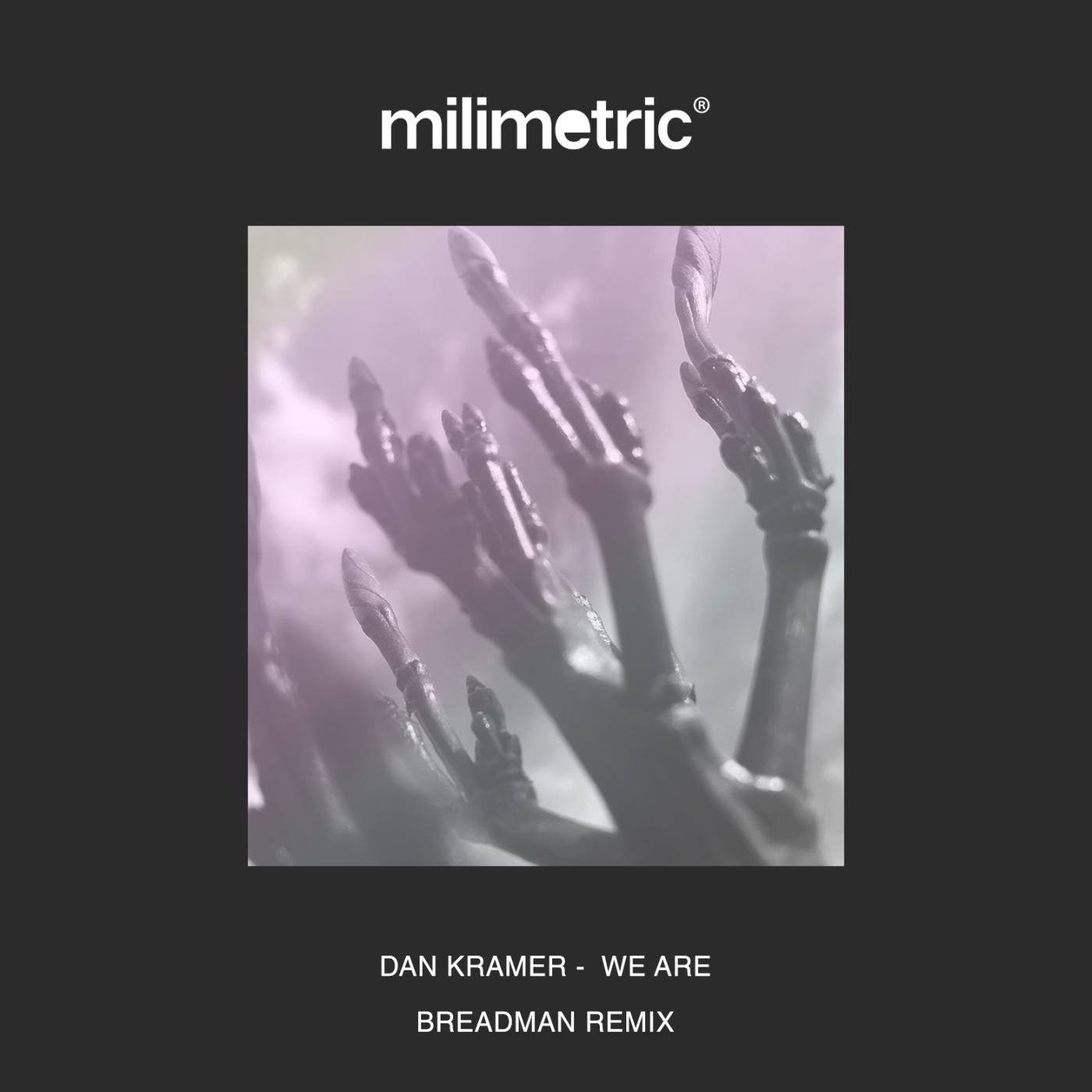 We Are Crazy (Original Mix)