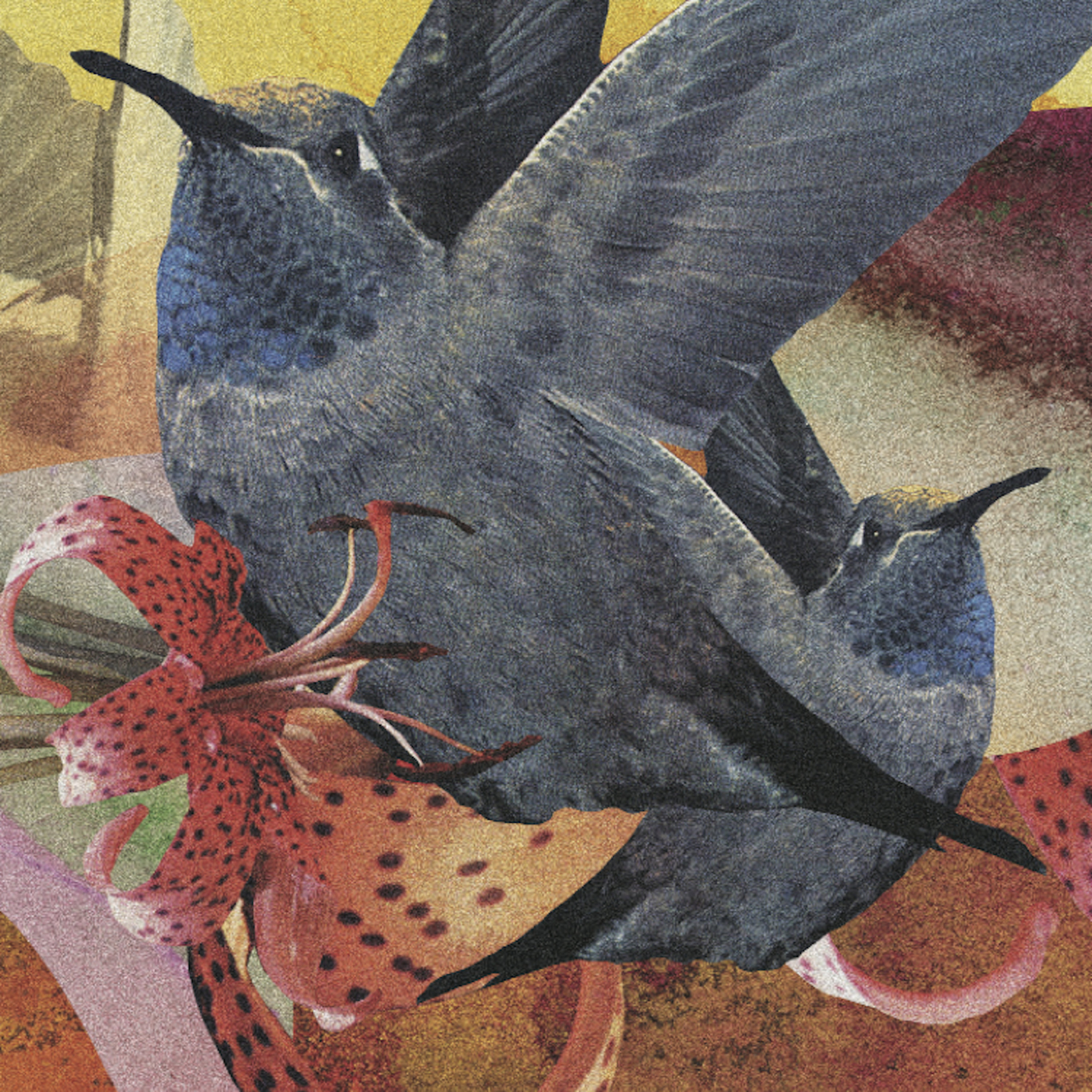 Not Because I Love You That I'm Blue