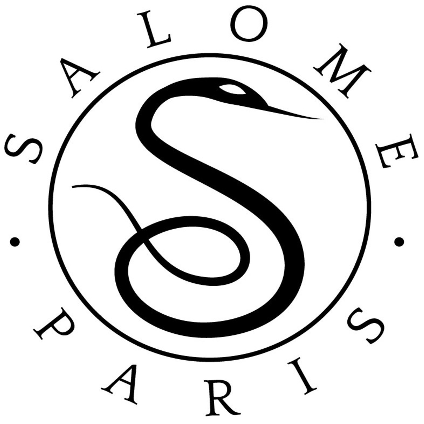 a c' est Paris Version chic