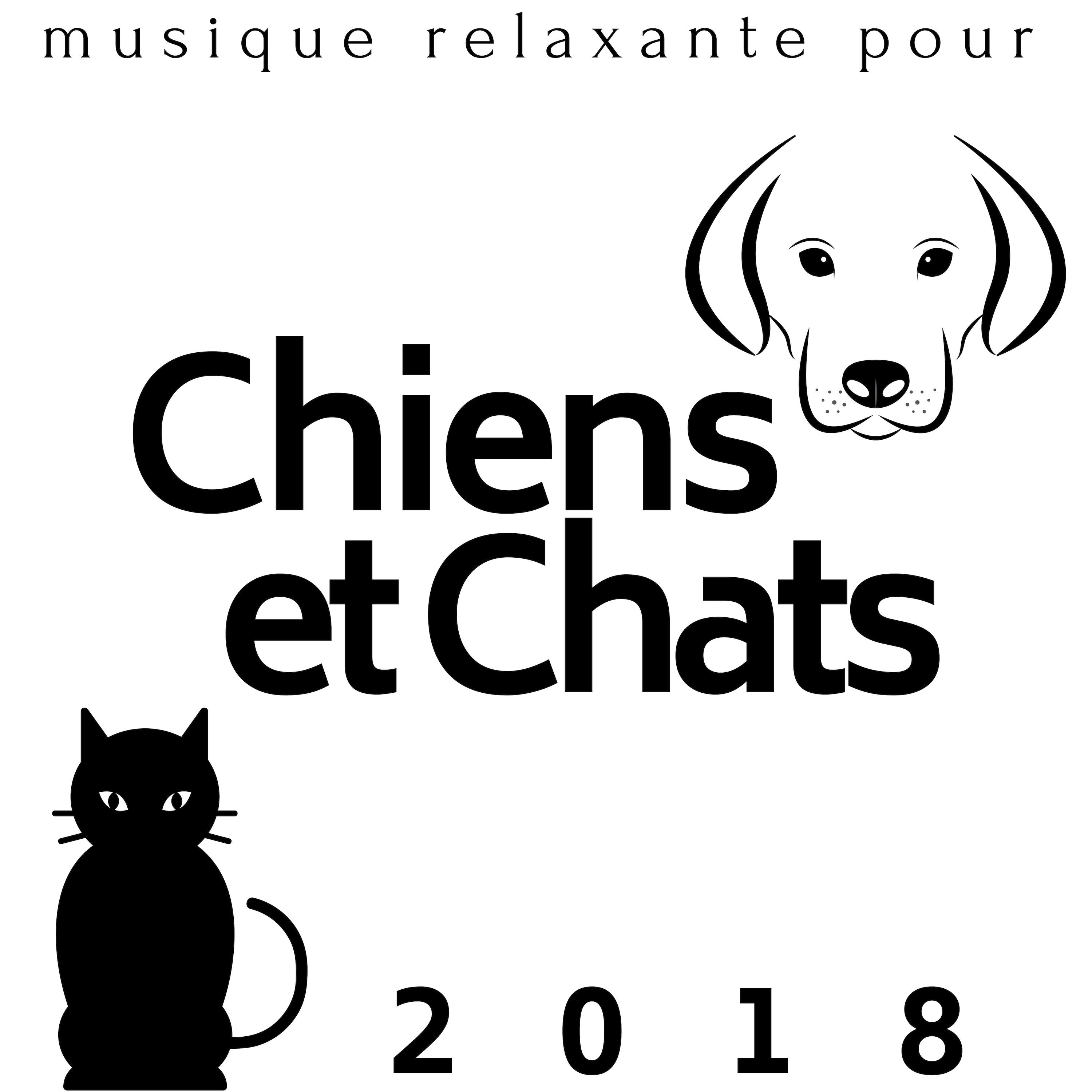 Musique Relaxante pour Chiens et Chats 2018