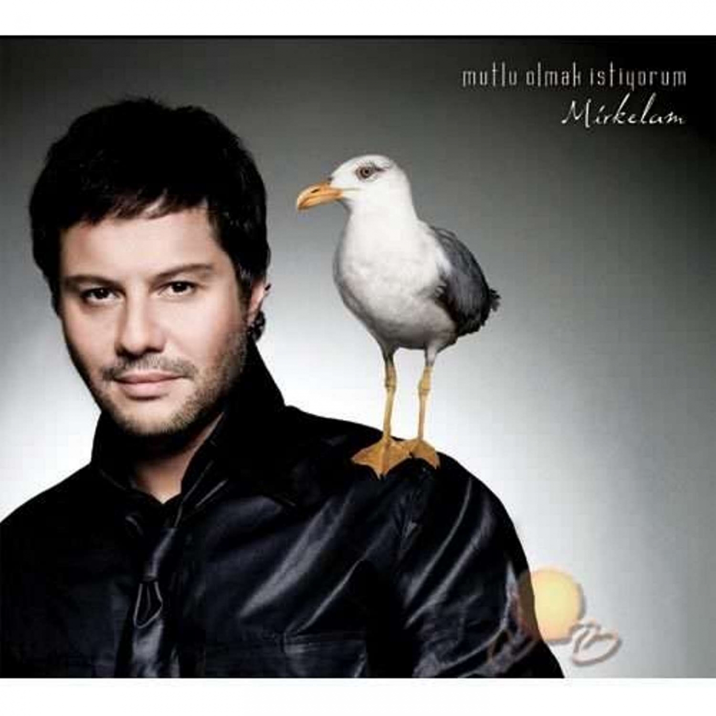 Mart lar ark lar Vicdans z