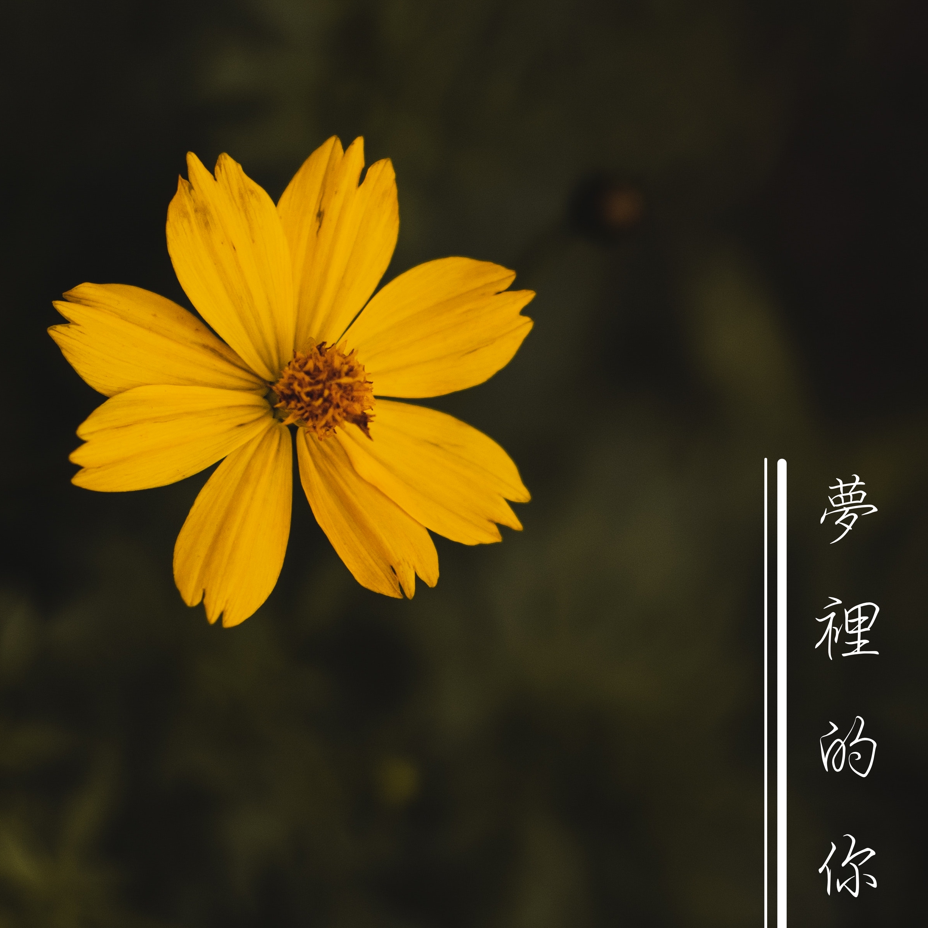 kong meng de dai jia