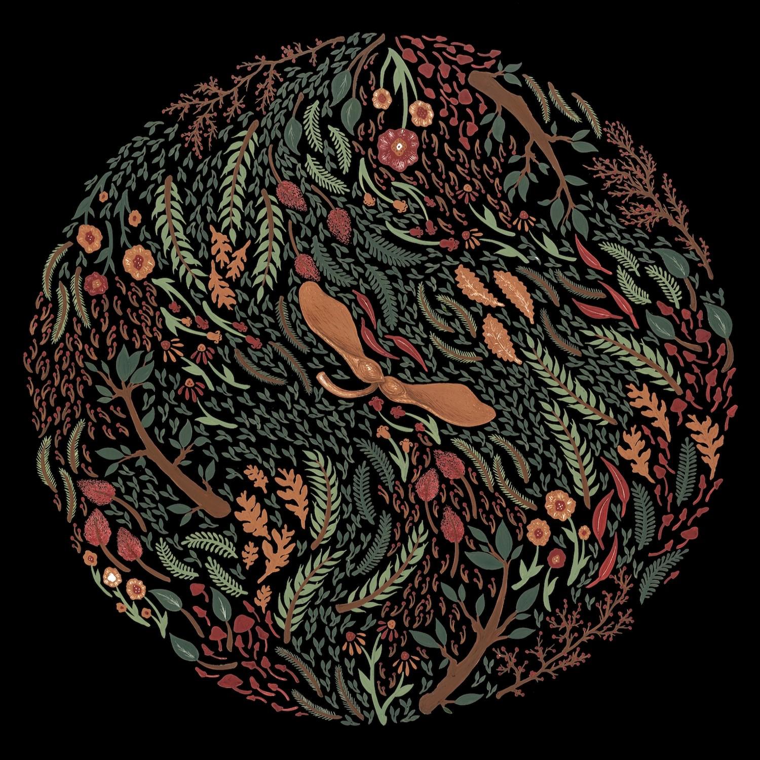 Not In My House (Demo)