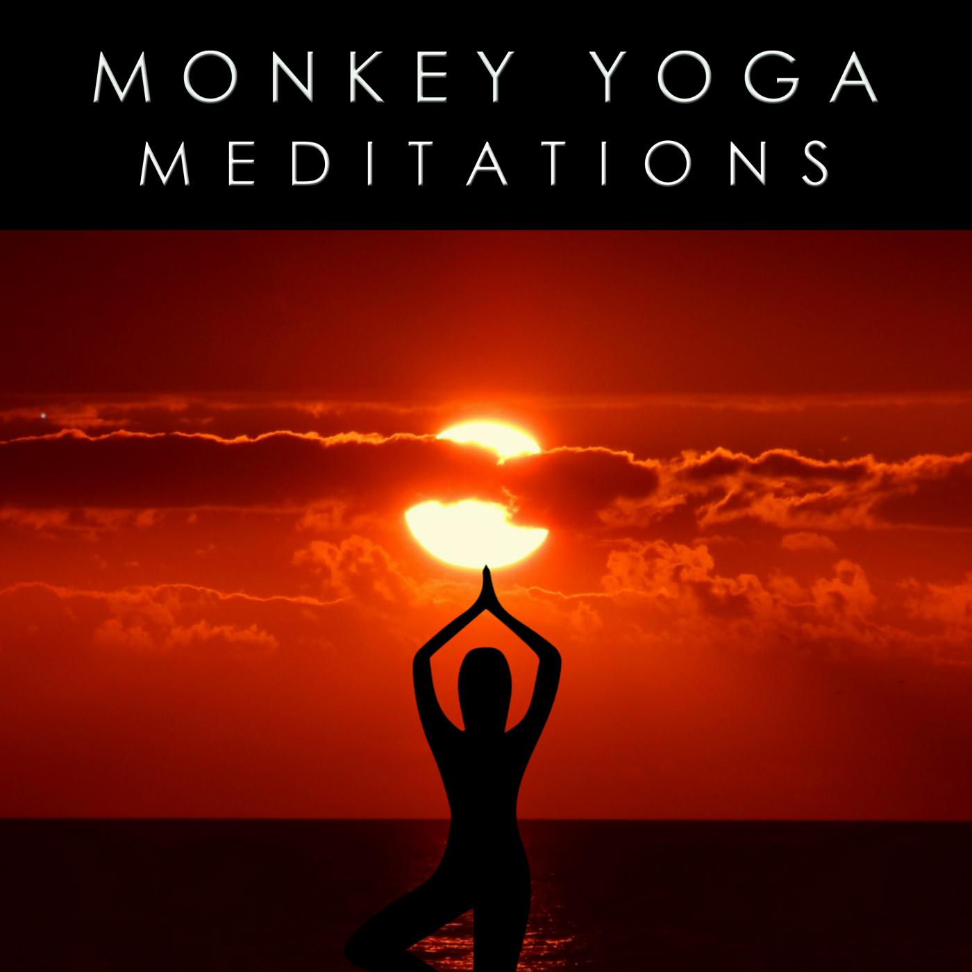 Forest Meditation (Original Mix)