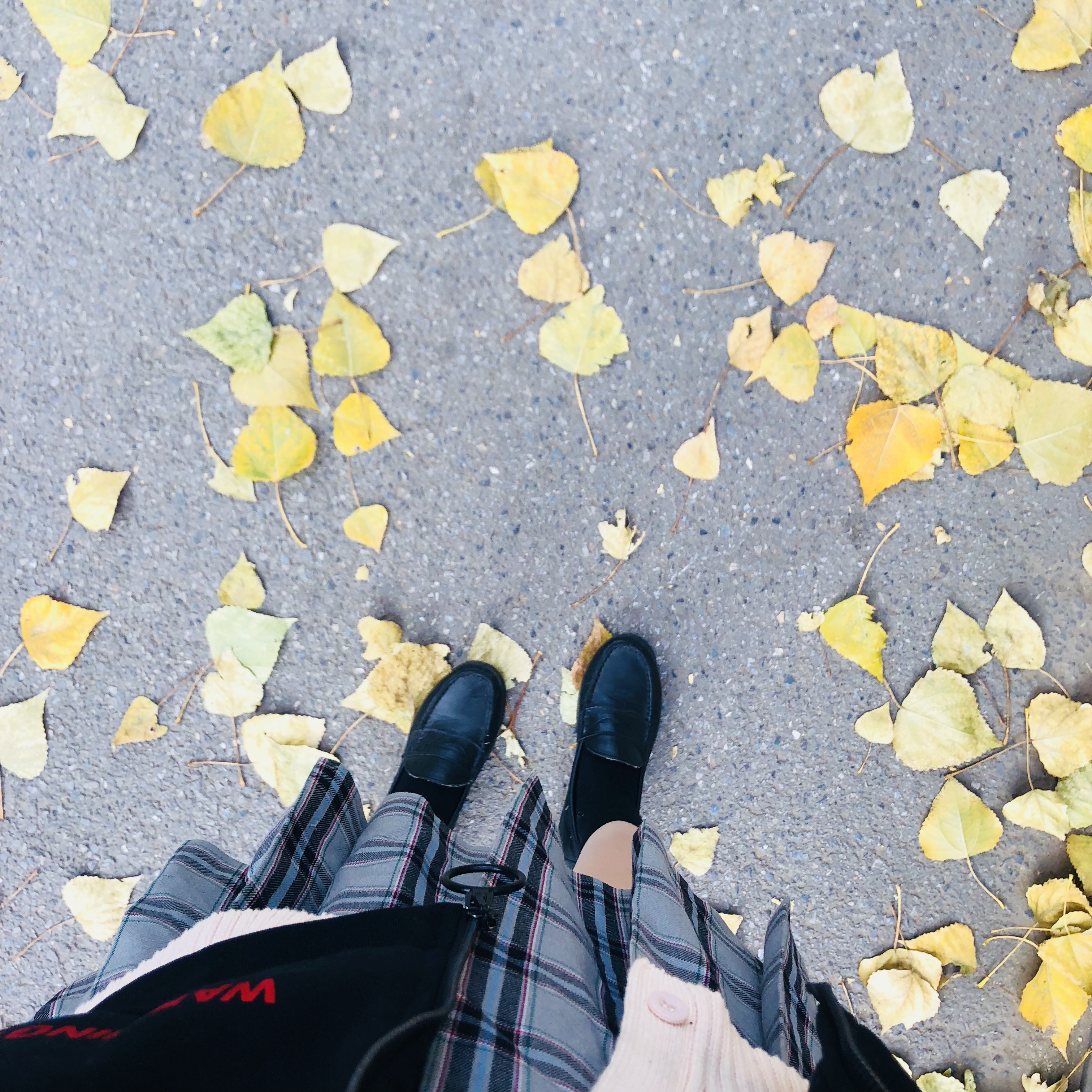 wo xi huan ni sheng guo wan sheng jie de nan gua bu ding he fan tang qiao ke li