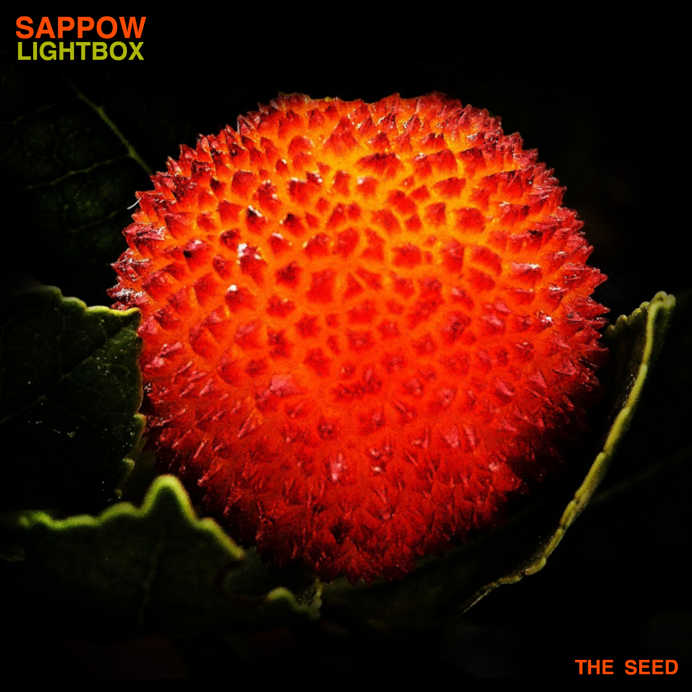 Vision of 96S (Vinculum's Dark Star Remix)