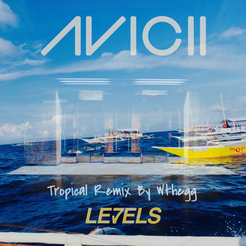 Avicii-Levels (Wthegg remix)