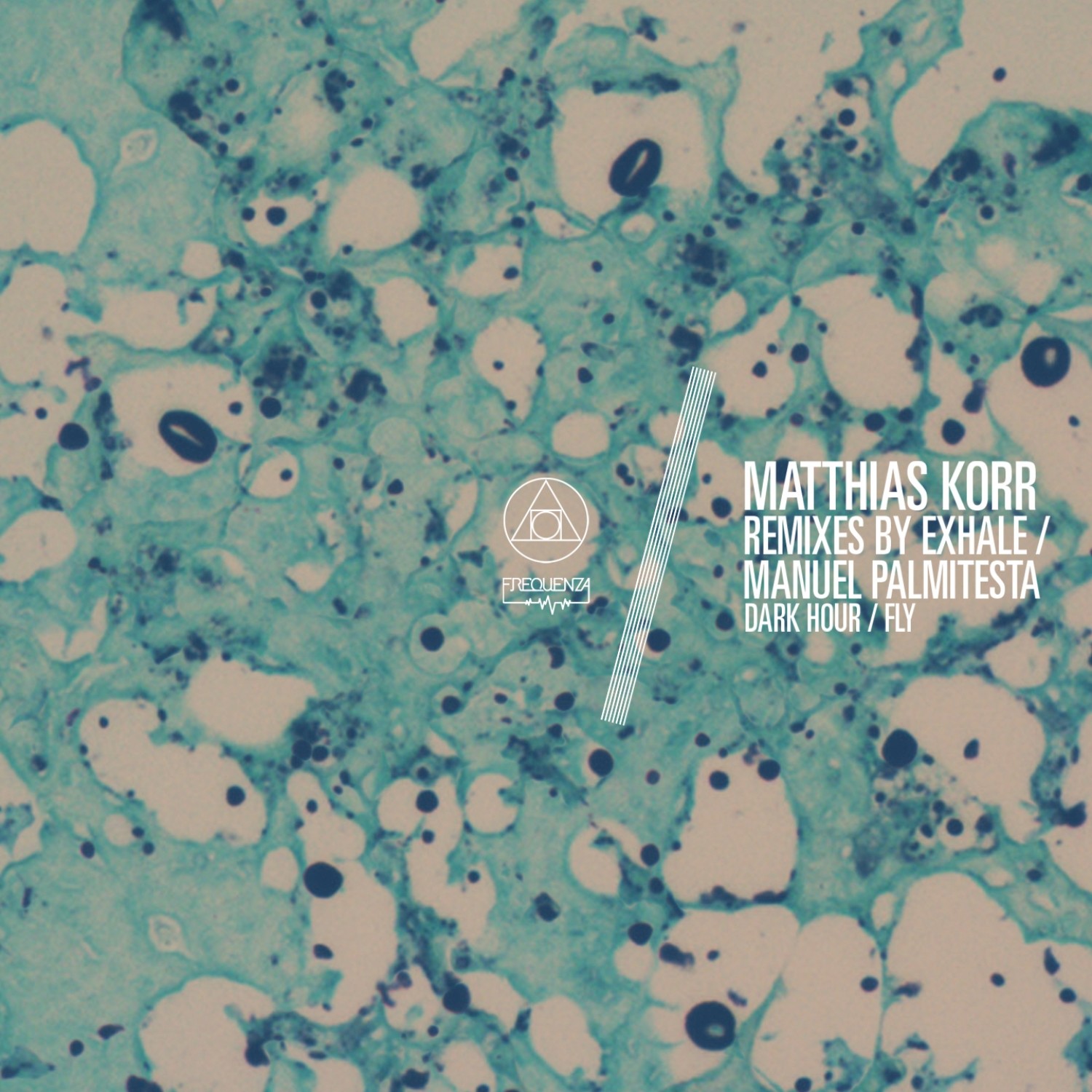 Fly (Manuel Palmitesta Remix)