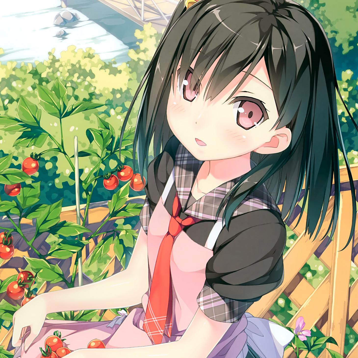 chun lai fan zi song ren gu you shi