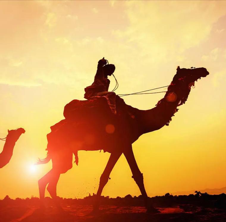 sha mo luo tuo di zi ban fan zi zhan zhan yu luo luo