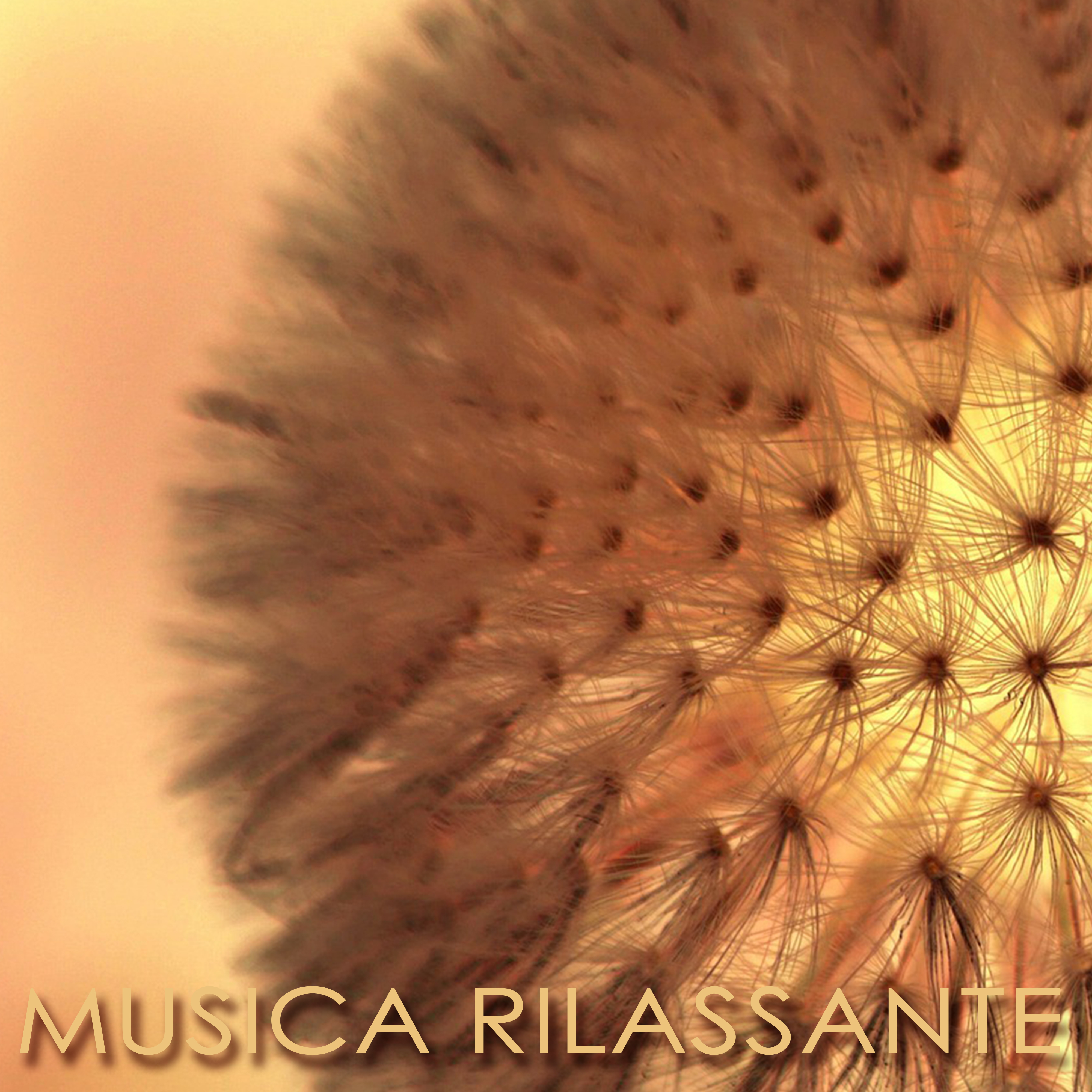 Musica Rilassante  Musica New Age per Meditazione, Relax, Massaggio, Yoga e Rilassamento Profondo