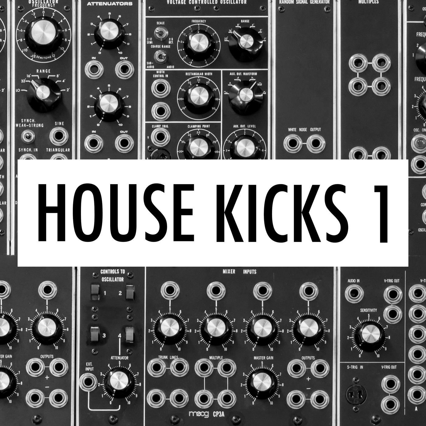 IbzKngs House Kicks 001