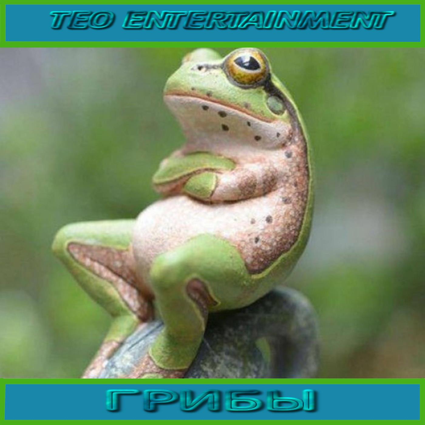 Infected mushrooms Staton Project Remix