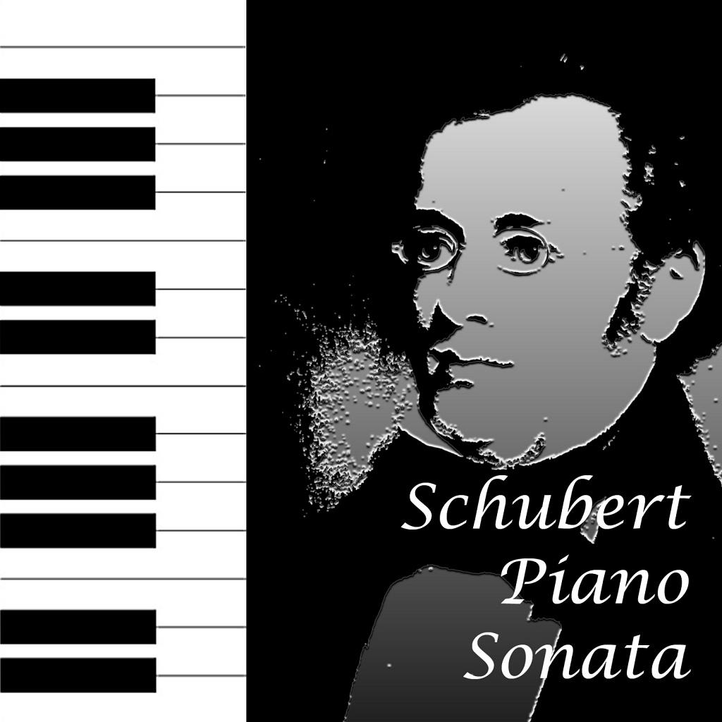 Schubert: Piano Sonata No.19 in C Minor D.958 1.Allegro