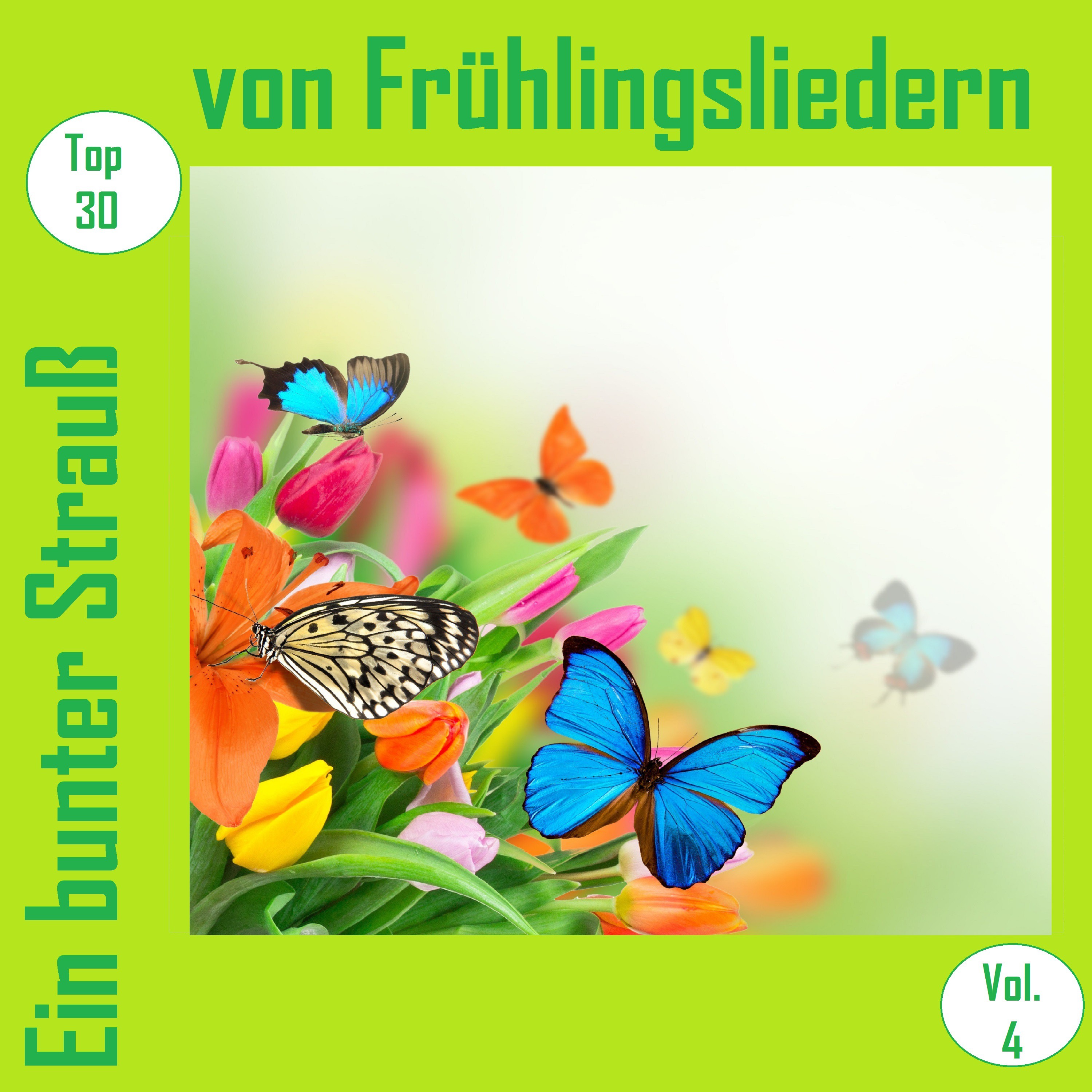 Top 30: Ein bunter Strau von Frü hlingsliedern, Vol. 4
