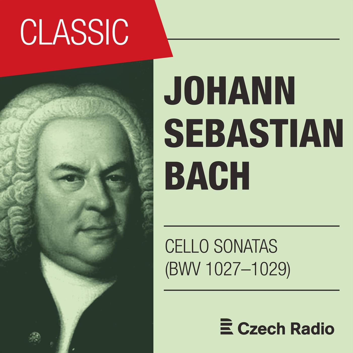 Sonata G Minor, BWV 1029: III. Allegro