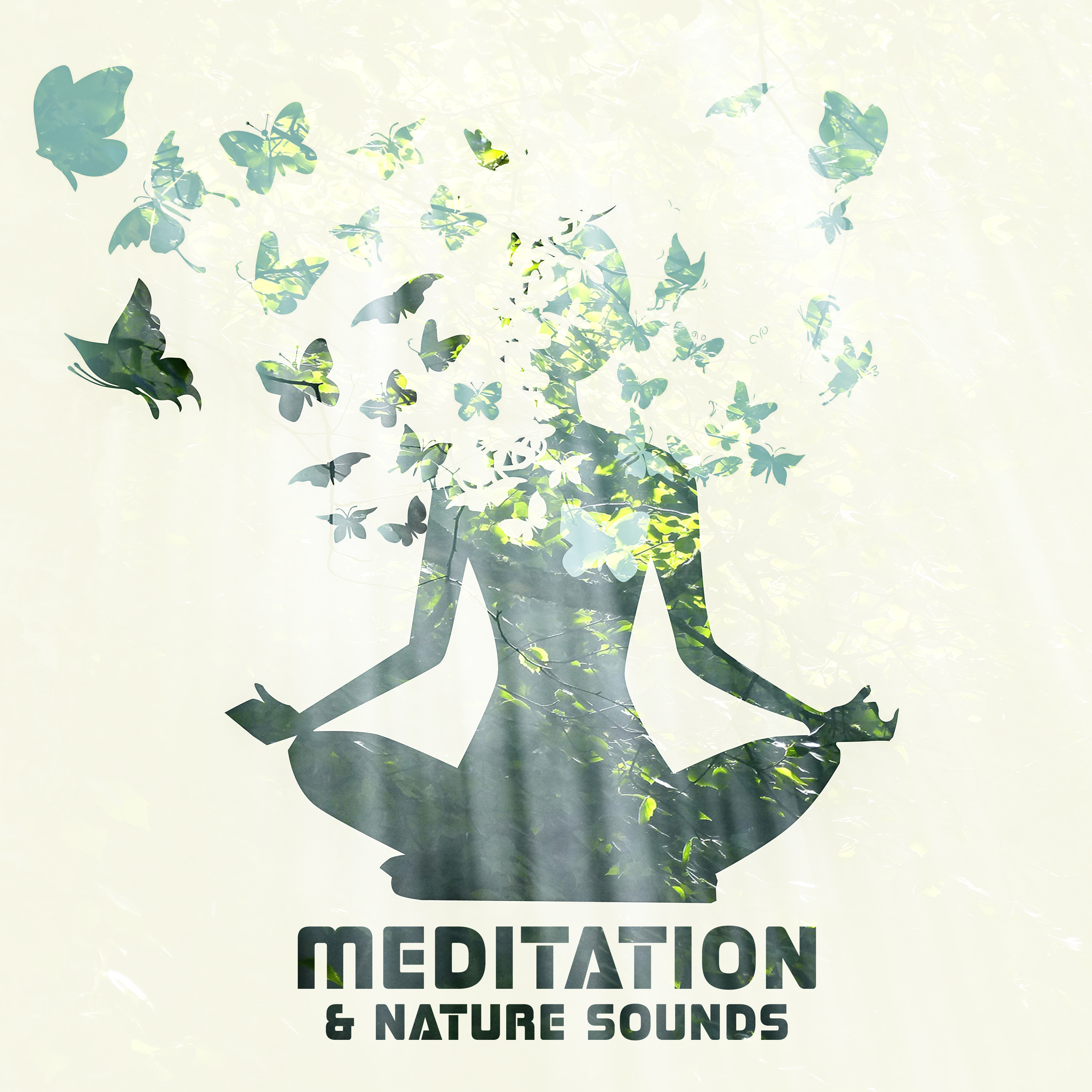 Meditation & Nature Sounds