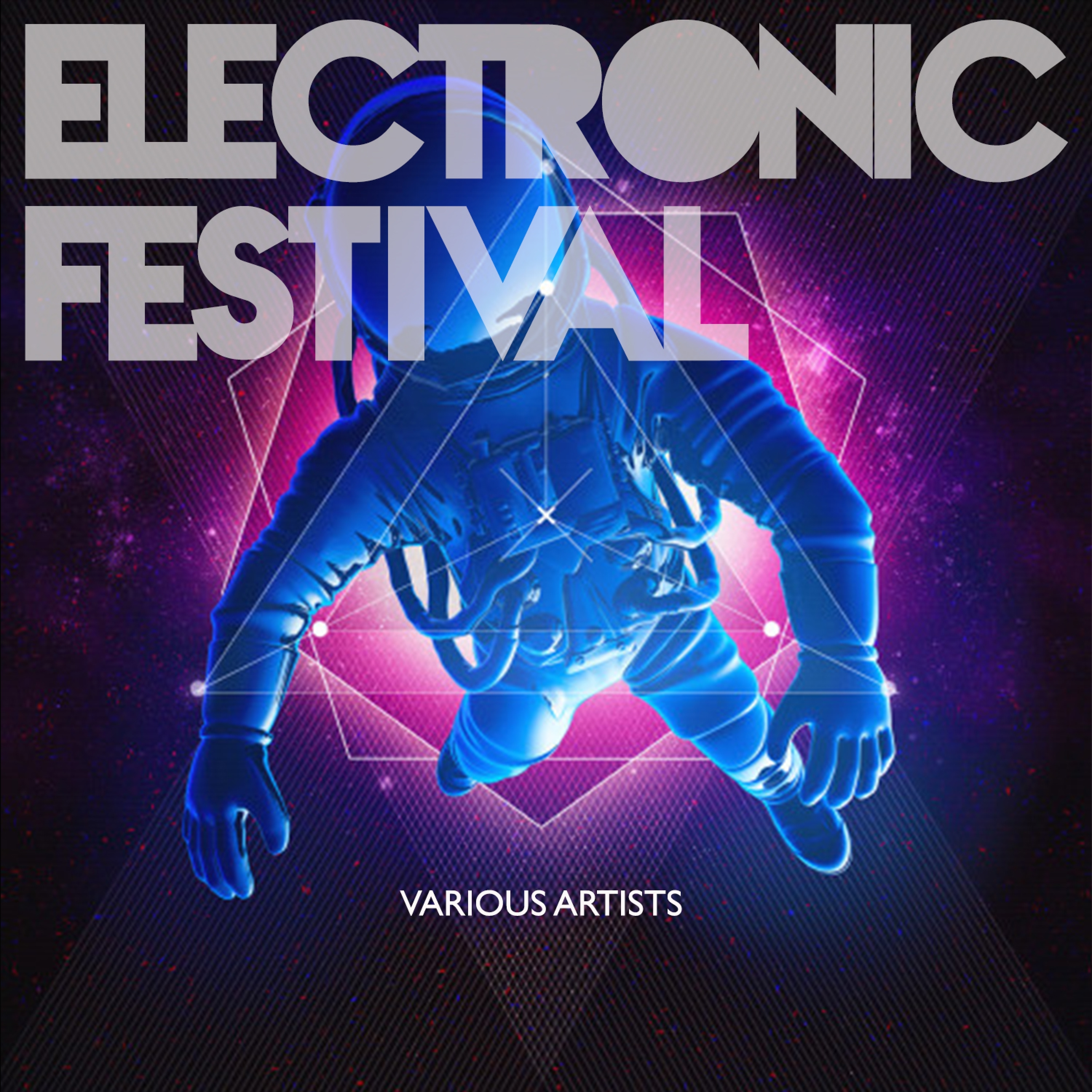 Electronic Festival