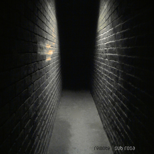 All God's Creatures Are Animals