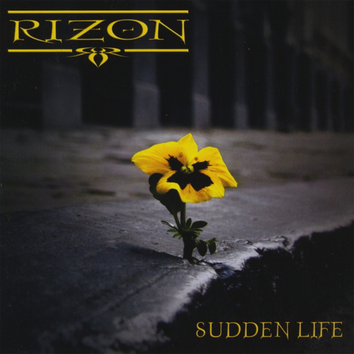 Sudden Life