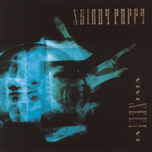 Fritter (Stella's Home)