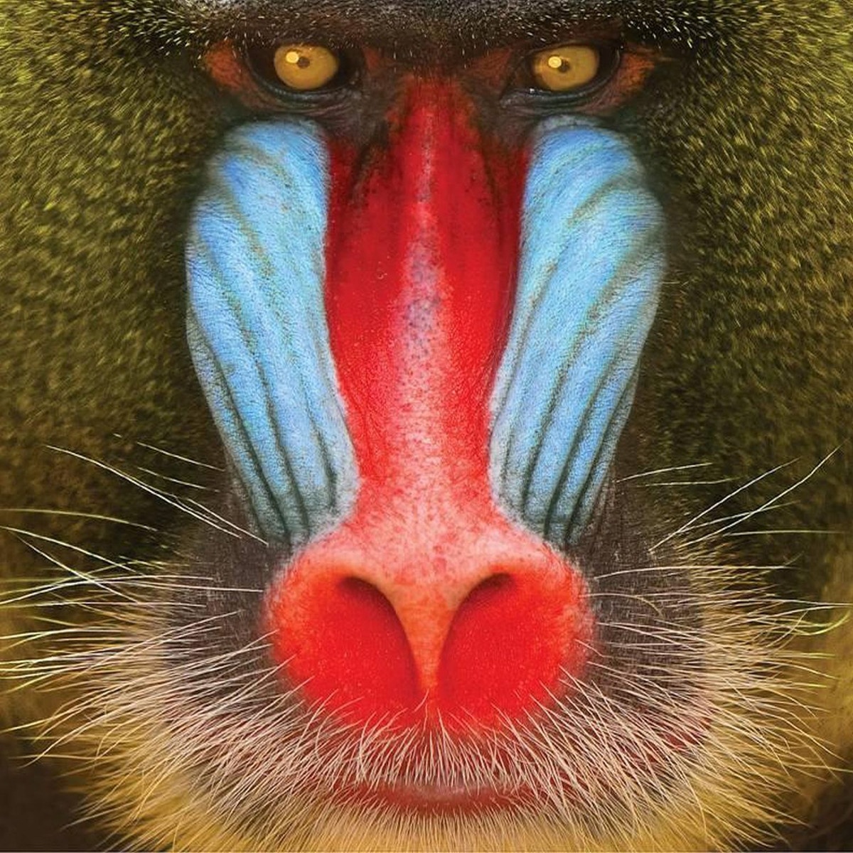 Save Your Love For Me