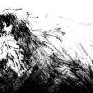 Lifeless Surroundings