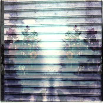 Gazing Upwards, Concrete Hands Reach to Touch the Sky