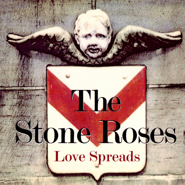 Your Star Will Shine