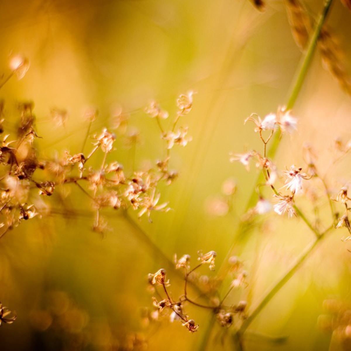 The Break and the Wake