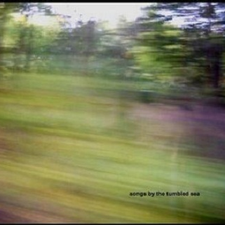 A growing recognition of the genius of birds