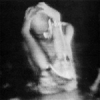 Live Volume 4, 1979-1980