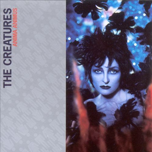 Don't Go to Sleep Without Me