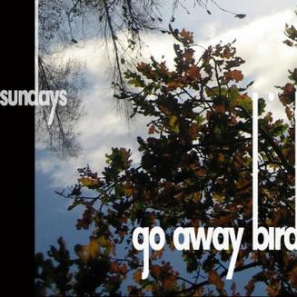 Can We Skip This Song?