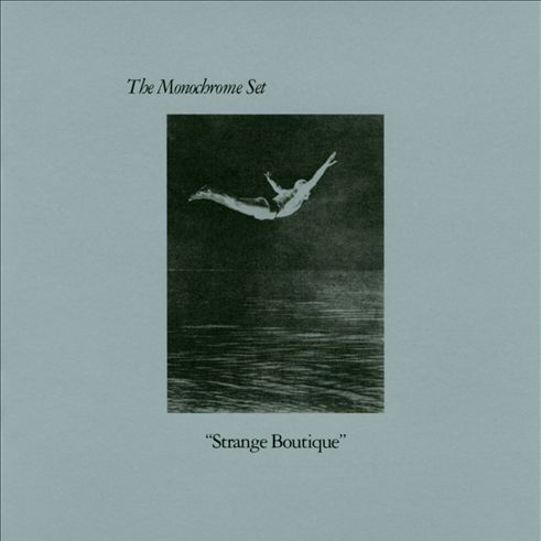 The Puerto Rican Fence Climber