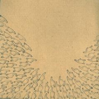 The Consumation Of Empire