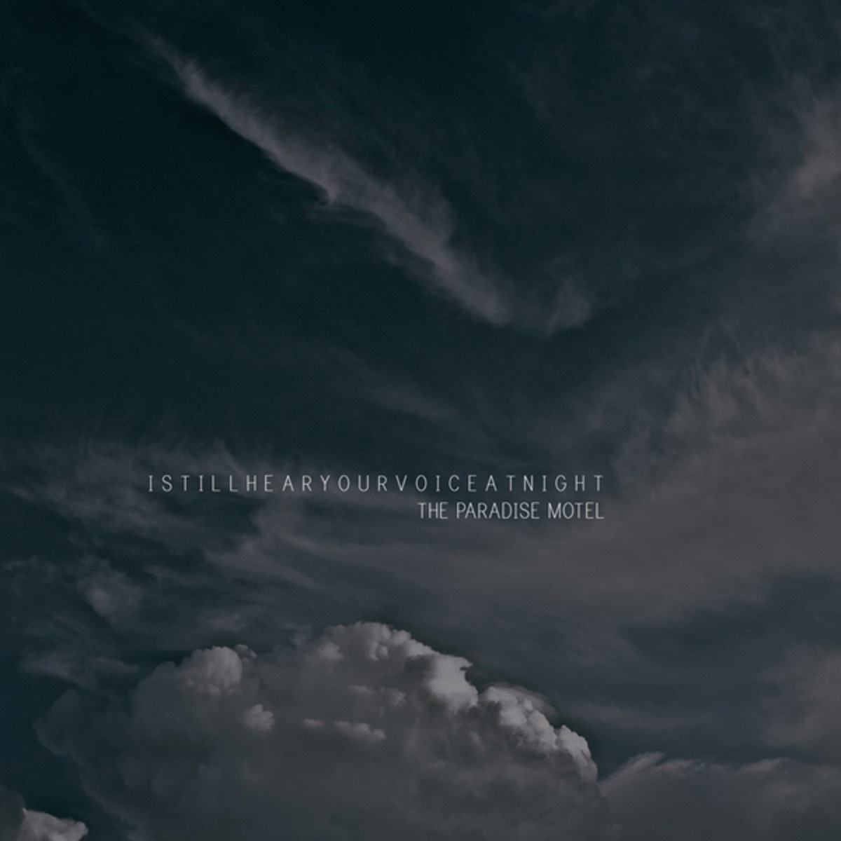 The Moonlight and the Scrub