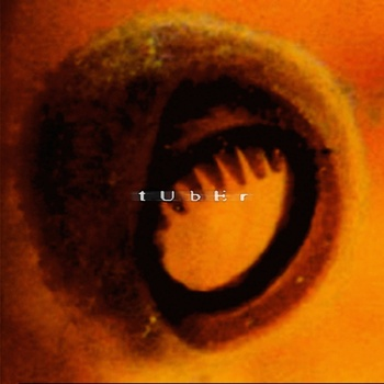 The Fall Of The Wall