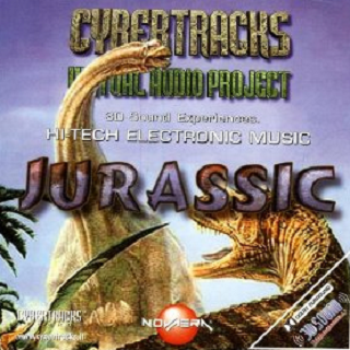 Direct 2 Brain-Primitive Night