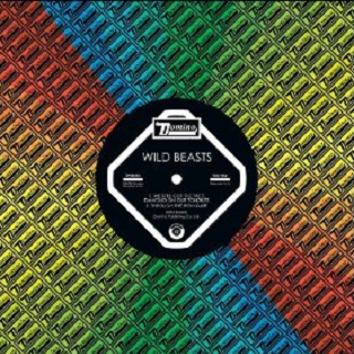 We' ve Still Got The Taste Dancing On Our Tongues