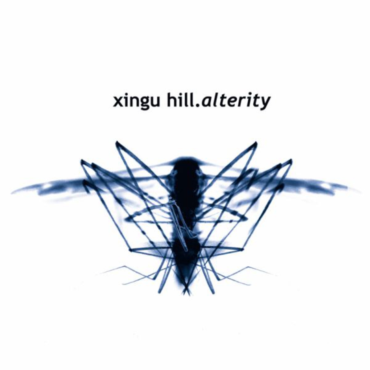 Identities Are Fluid