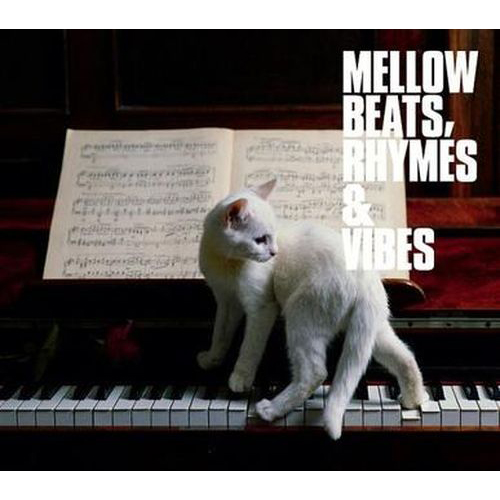 In All The Wrong Places (New 12inch Version)