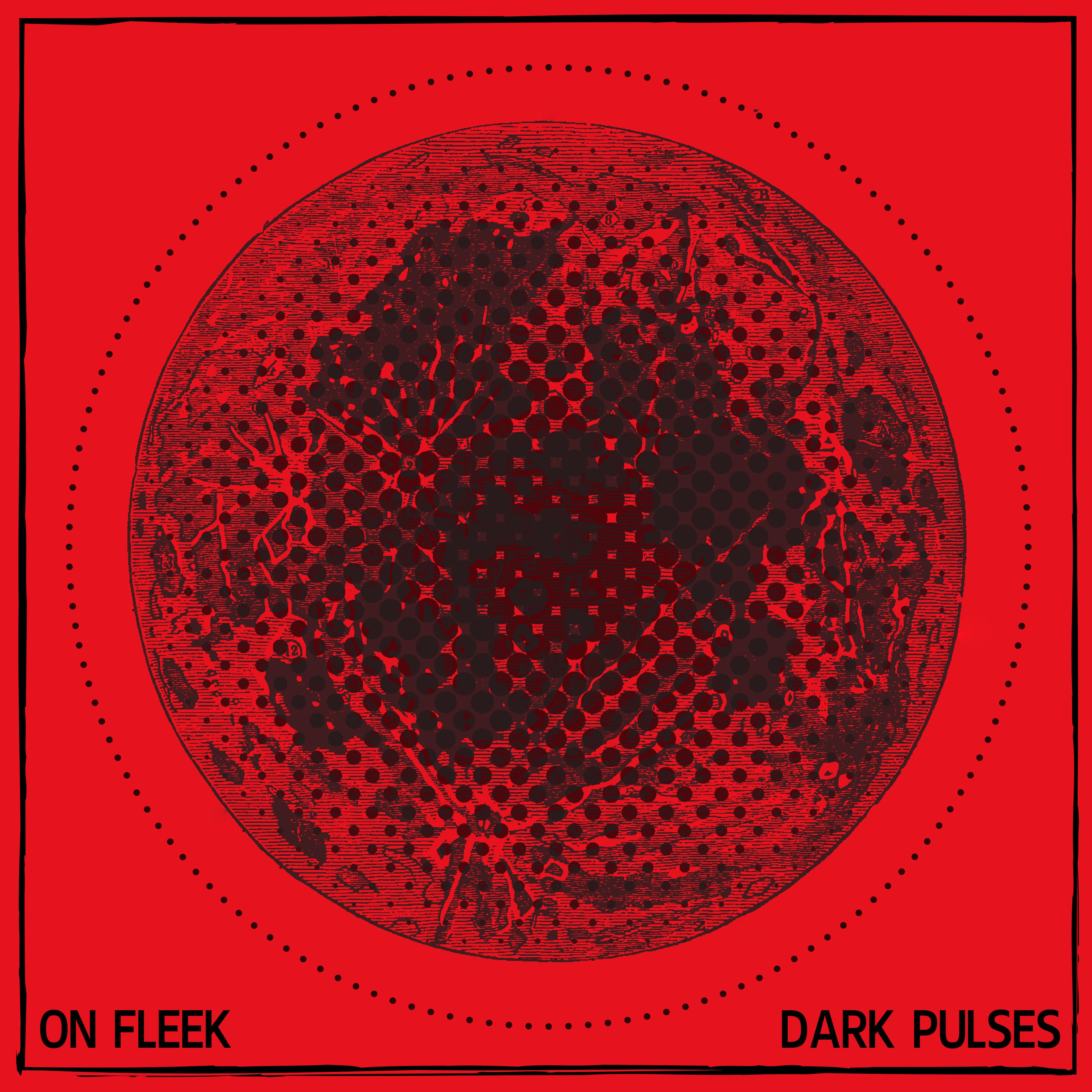 Dark Pulses
