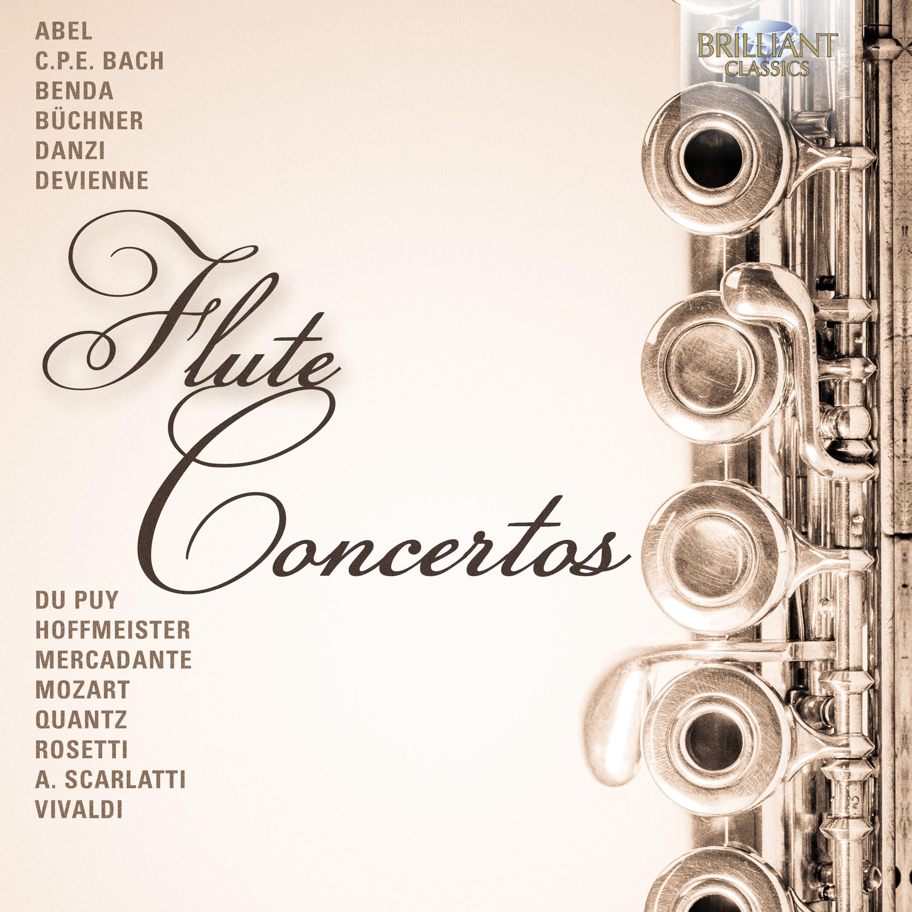 Flute Concerto in D Major, K. 314: II. Andante ma non troppo