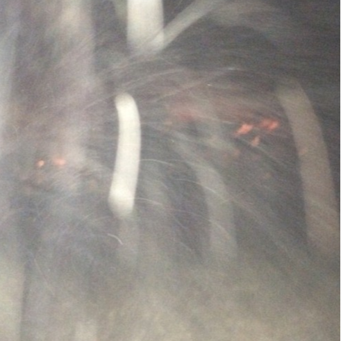 is this the best of me?